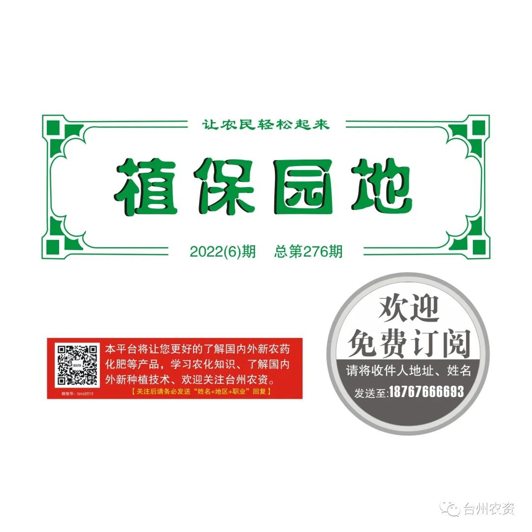 雜交水稻制種增施必奧硅、持力硼成熟期表現情況